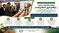  بذرهای اصلاح‌شده گامی راهبردی برای آینده کشاورزی دیم